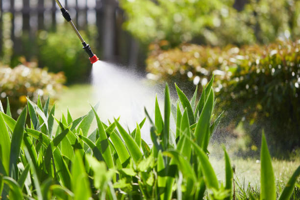 24/7 Emergency Mosquito Control experts in Central, SC
