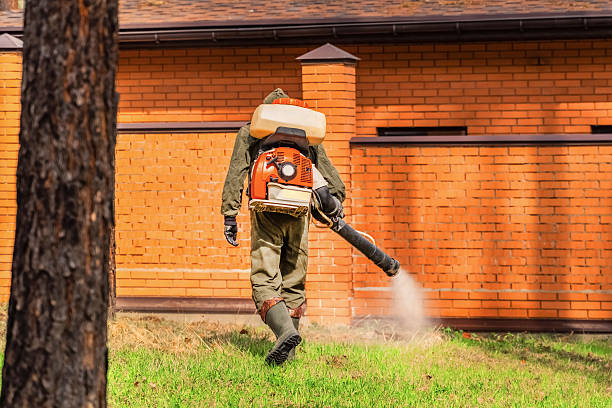 Top rated local Mosquito Control specialists in Central, SC